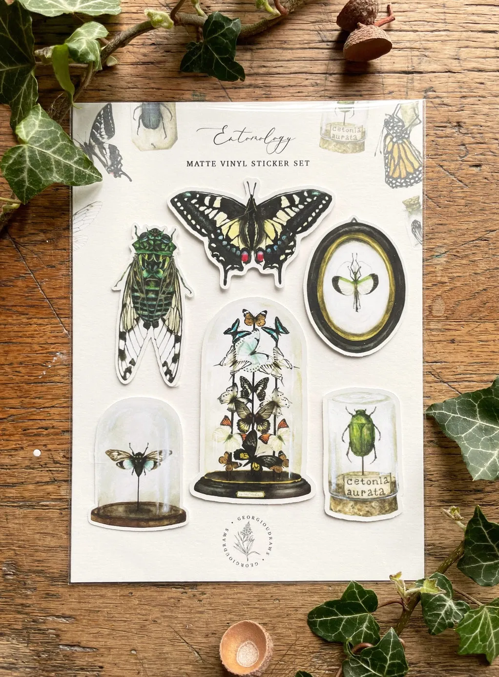 Entomology Matte Vinyl Sticker Set