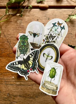 Entomology Matte Vinyl Sticker Set