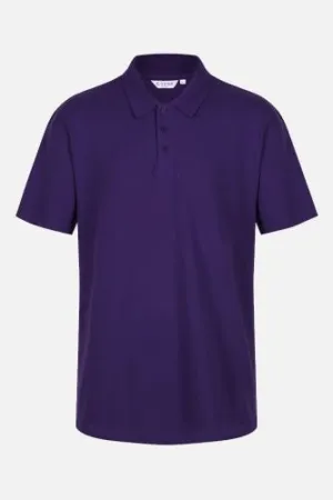 VALLEY PRIMARY SCHOOL PE POLO SHIRT (PLAIN)